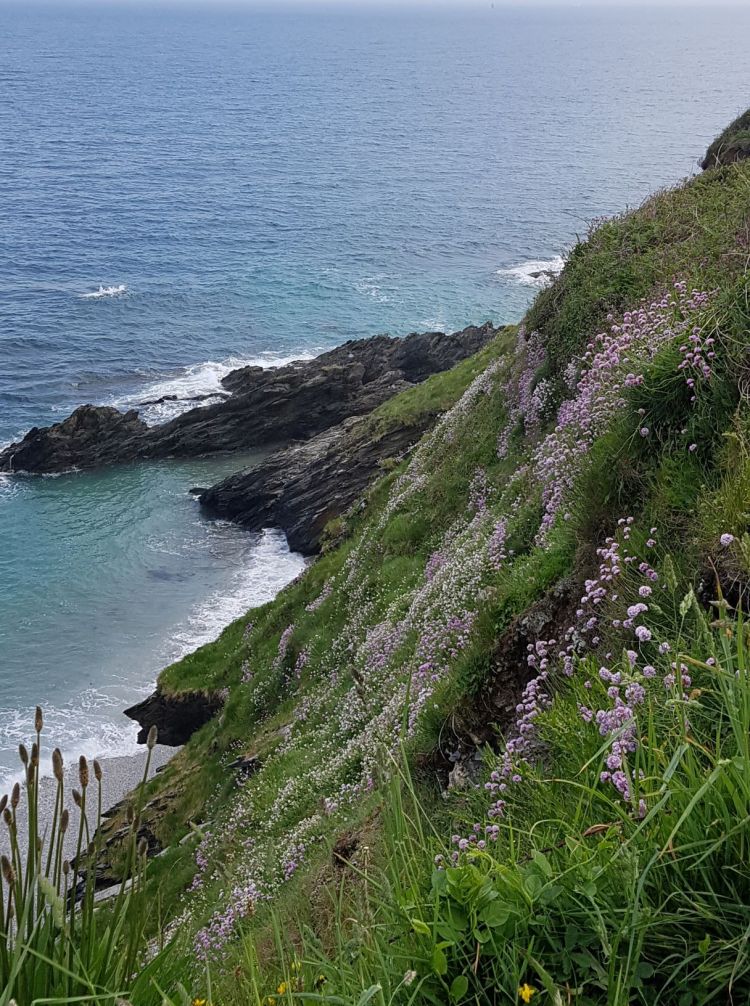 Cliff web pic by Charis White for Rachel head Humanist Wedding Celebrant website